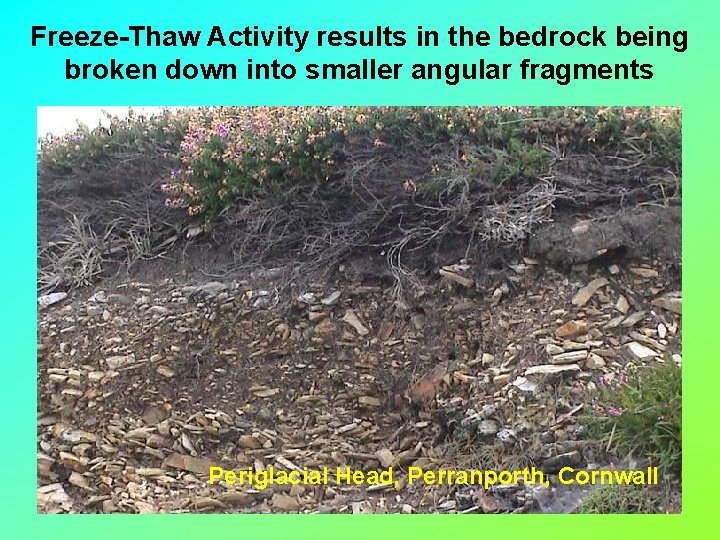 Freeze-Thaw Activity results in the bedrock being broken down into smaller angular fragments Periglacial