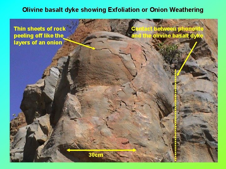 Olivine basalt dyke showing Exfoliation or Onion Weathering Thin sheets of rock peeling off