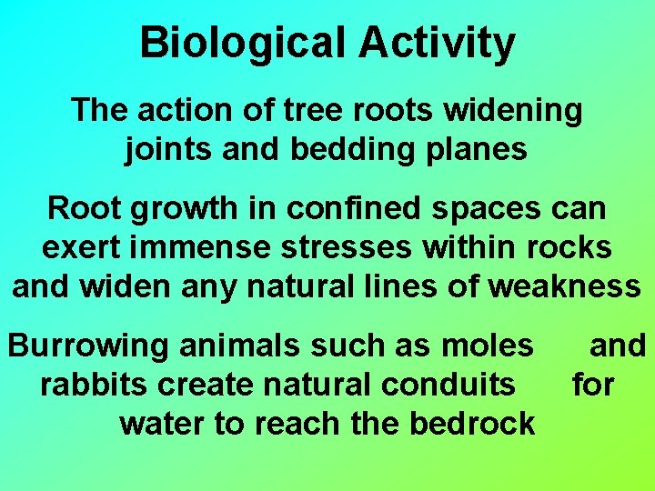 Biological Activity The action of tree roots widening joints and bedding planes Root growth