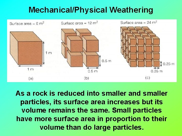 Mechanical/Physical Weathering As a rock is reduced into smaller and smaller particles, its surface