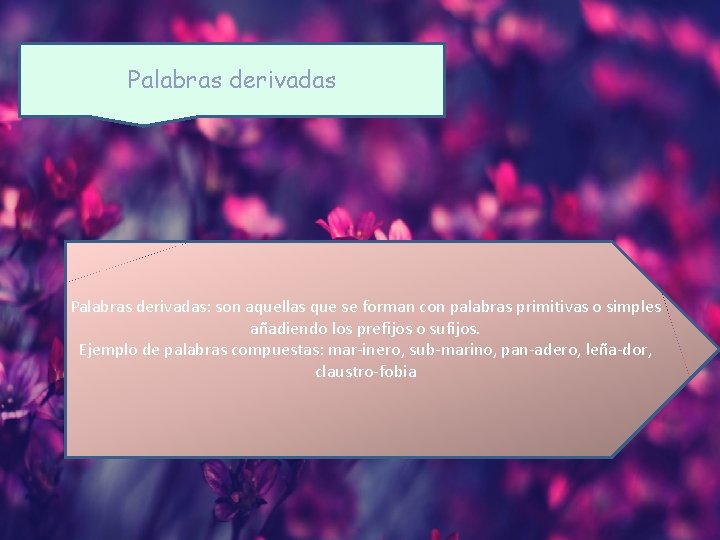 Palabras derivadas: son aquellas que se forman con palabras primitivas o simples añadiendo los