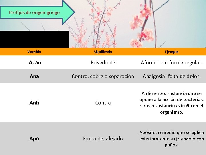 Prefijos de origen griego Vocablo Significado Ejemplo A, an Privado de Aformo: sin forma
