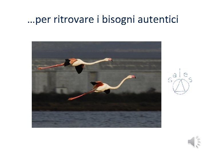 …per ritrovare i bisogni autentici …per ritrovare i bisogni autentici