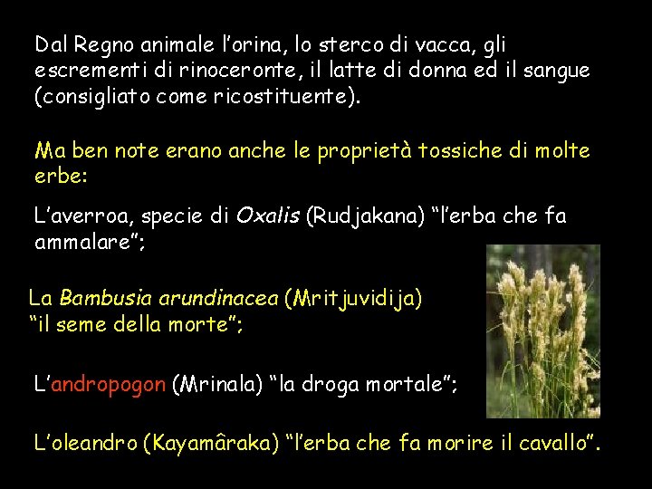 Dal Regno animale l’orina, lo sterco di vacca, gli escrementi di rinoceronte, il latte Dal Regno animale l’orina, lo sterco di vacca, gli escrementi di rinoceronte, il latte