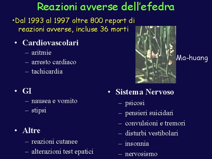 Reazioni avverse dell’efedra • Dal 1993 al 1997 oltre 800 report di reazioni avverse, Reazioni avverse dell’efedra • Dal 1993 al 1997 oltre 800 report di reazioni avverse,