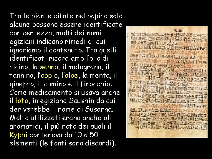 Tra le piante citate nel papiro solo alcune possono essere identificate con certezza, molti Tra le piante citate nel papiro solo alcune possono essere identificate con certezza, molti