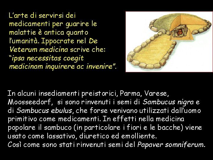 L’arte di servirsi dei medicamenti per guarire le malattie è antica quanto l’umanità. Ippocrate L’arte di servirsi dei medicamenti per guarire le malattie è antica quanto l’umanità. Ippocrate