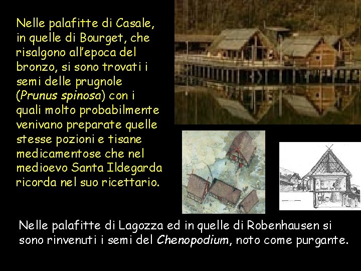 Nelle palafitte di Casale, in quelle di Bourget, che risalgono all’epoca del bronzo, si Nelle palafitte di Casale, in quelle di Bourget, che risalgono all’epoca del bronzo, si