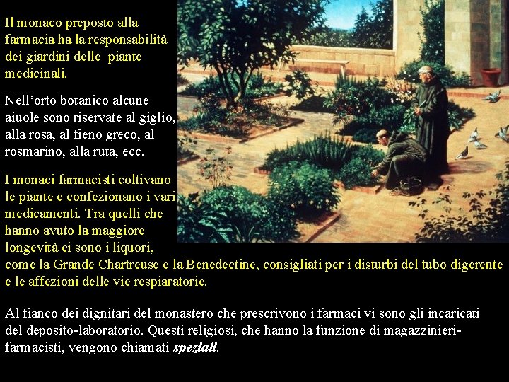 Il monaco preposto alla farmacia ha la responsabilità dei giardini delle piante medicinali. Nell’orto Il monaco preposto alla farmacia ha la responsabilità dei giardini delle piante medicinali. Nell’orto