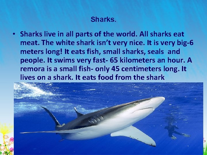 Sharks. • Sharks live in all parts of the world. All sharks eat meat.
