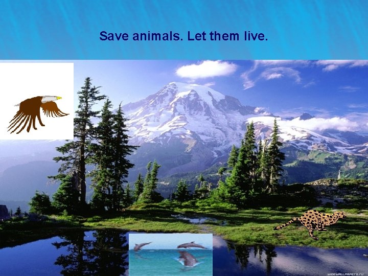 Save animals. Let them live. 16 