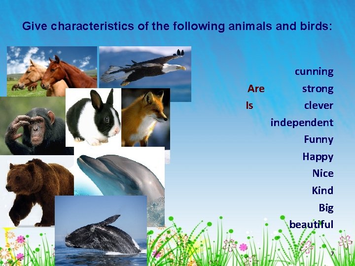 Give characteristics of the following animals and birds: cunning Are strong Is clever independent