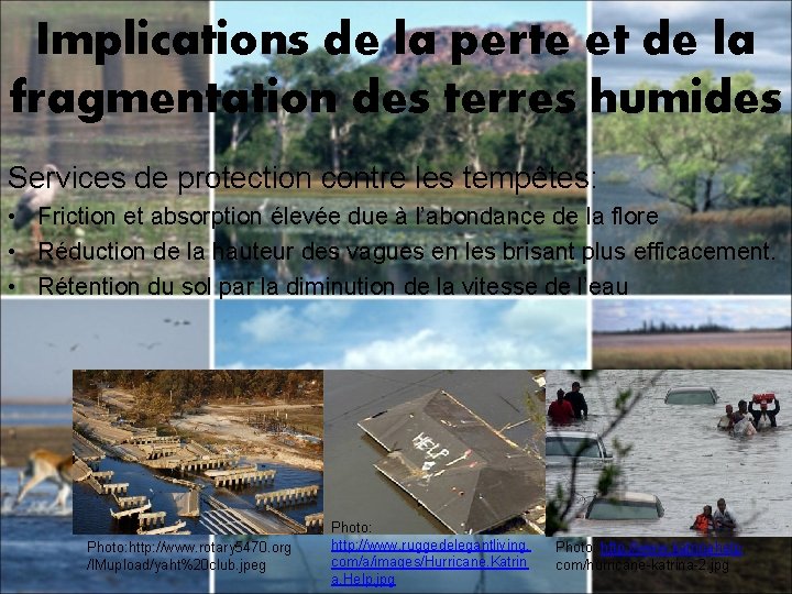 Implications de la perte et de la fragmentation des terres humides Services de protection