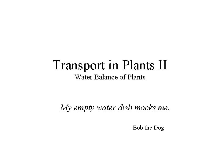 Transport in Plants II Water Balance of Plants My empty water dish mocks me.