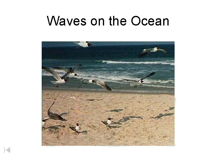 Waves on the Ocean 