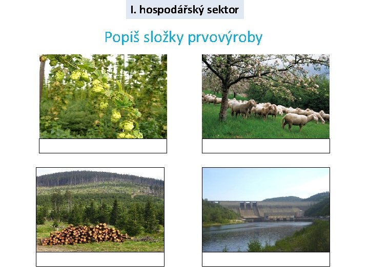 I. hospodářský sektor Popiš složky prvovýroby 