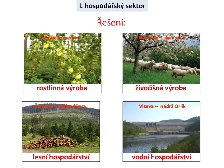 I. hospodářský sektor Řešení: Žatecko - chmel Beskydy – chov ovcí rostlinná výroba živočišná