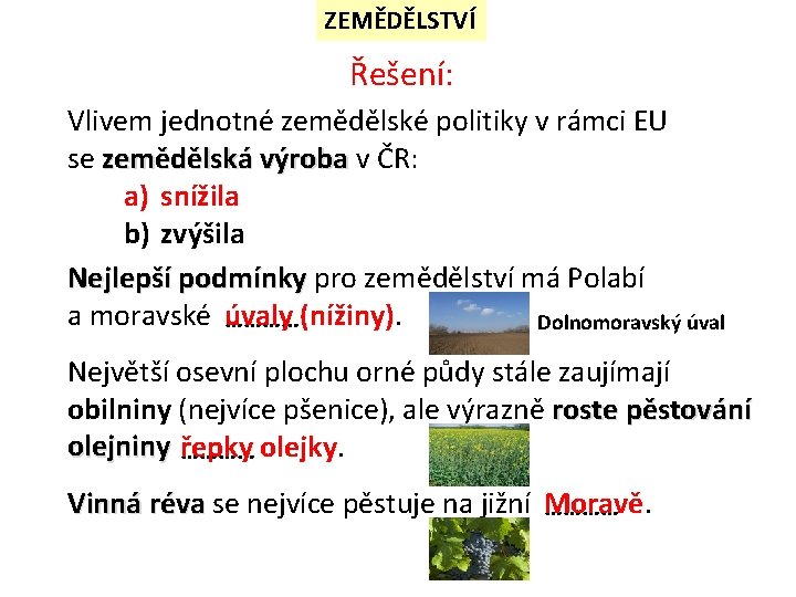 ZEMĚDĚLSTVÍ Řešení: Vlivem jednotné zemědělské politiky v rámci EU se zemědělská výroba v ČR: