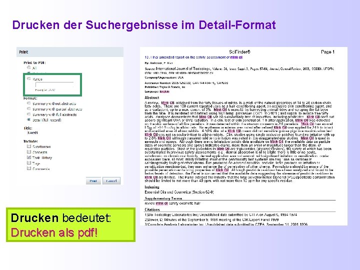 Drucken der Suchergebnisse im Detail-Format Drucken bedeutet: Drucken als pdf! 