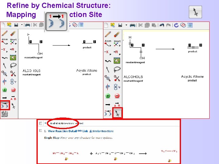  Refine by Chemical Structure: Mapping Reaction Site 