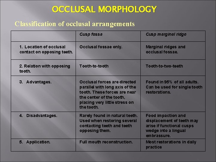 OCCLUSAL MORPHOLOGY Classification of occlusal arrangements Cusp fossa Cusp marginal ridge 1. Location of