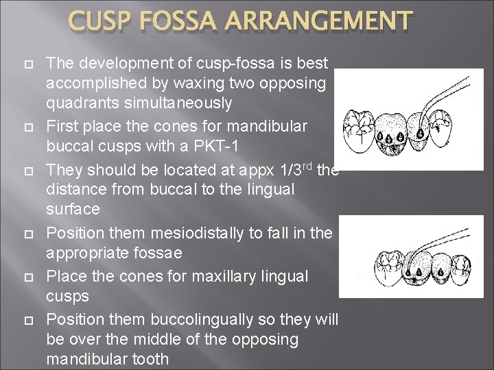 CUSP FOSSA ARRANGEMENT The development of cusp-fossa is best accomplished by waxing two opposing