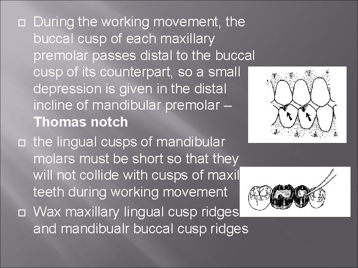  During the working movement, the buccal cusp of each maxillary premolar passes distal