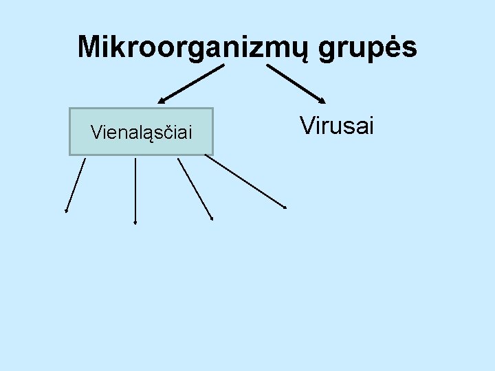 Mikroorganizmų grupės Vienaląsčiai Virusai 