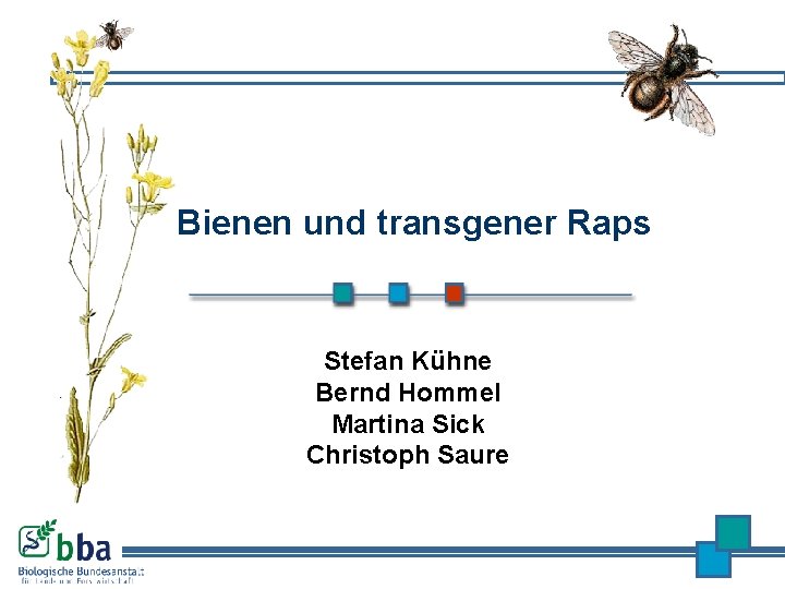 Bienen und transgener Raps Stefan Kühne Bernd Hommel Martina Sick Christoph Saure 