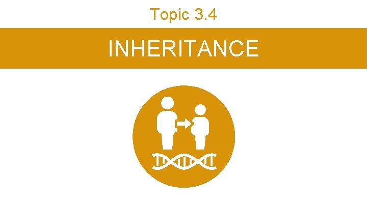 Topic 3. 4 INHERITANCE Topic 3. 4 INHERITANCE