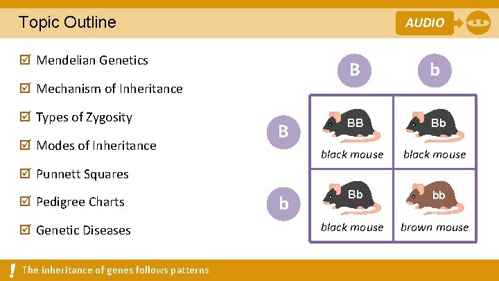 Topic Outline AUDIO þ Mendelian Genetics þ Mechanism of Inheritance þ Types of Zygosity Topic Outline AUDIO þ Mendelian Genetics þ Mechanism of Inheritance þ Types of Zygosity