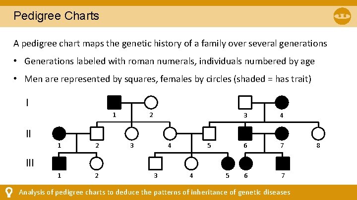 Pedigree Charts A pedigree chart maps the genetic history of a family over several Pedigree Charts A pedigree chart maps the genetic history of a family over several