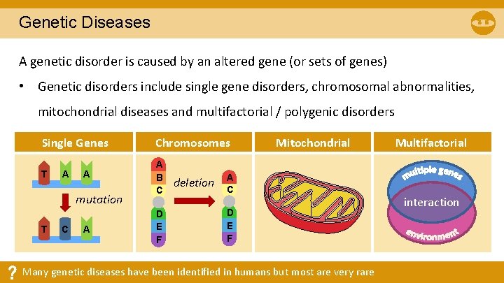Genetic Diseases A genetic disorder is caused by an altered gene (or sets of Genetic Diseases A genetic disorder is caused by an altered gene (or sets of
