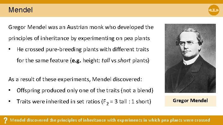 Mendel Gregor Mendel was an Austrian monk who developed the principles of inheritance by Mendel Gregor Mendel was an Austrian monk who developed the principles of inheritance by