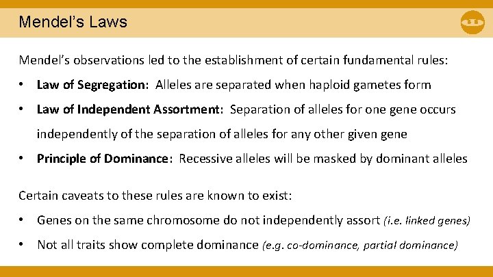 Mendel’s Laws Mendel’s observations led to the establishment of certain fundamental rules: • Law Mendel’s Laws Mendel’s observations led to the establishment of certain fundamental rules: • Law