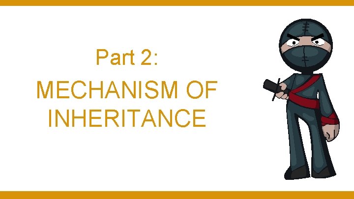 Part 2: MECHANISM OF INHERITANCE Part 2: MECHANISM OF INHERITANCE