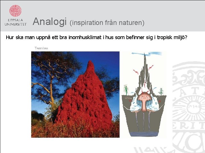 Analogi (inspiration från naturen) Hur ska man uppnå ett bra inomhusklimat i hus som