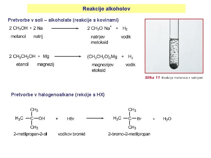 Reakcije alkoholov Pretvorbe v soli – alkoholate (reakcije s kovinami) Pretvorbe v halogenoalkane (rekcije