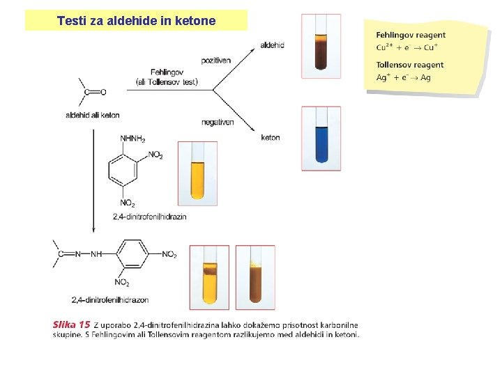 Testi za aldehide in ketone 