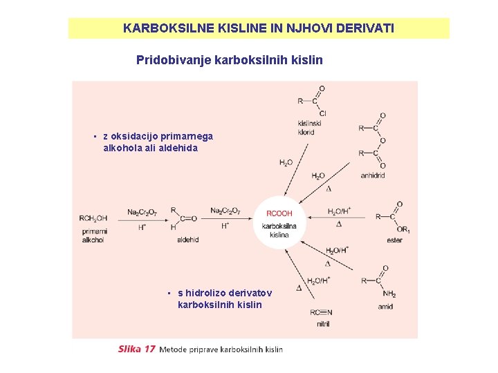 KARBOKSILNE KISLINE IN NJHOVI DERIVATI Pridobivanje karboksilnih kislin • z oksidacijo primarnega alkohola ali