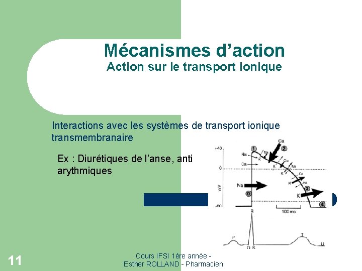 Mécanismes d’action Action sur le transport ionique Interactions avec les systèmes de transport ionique