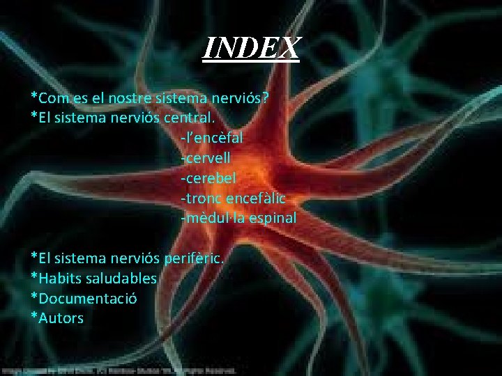 INDEX *Com es el nostre sistema nerviós? *El sistema nerviós central. -l’encèfal -cervell -cerebel