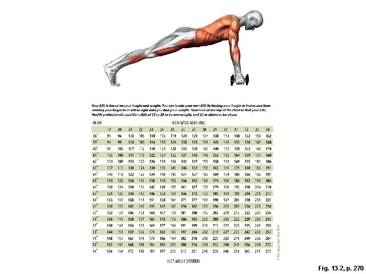 Fig. 13 -2, p. 270 