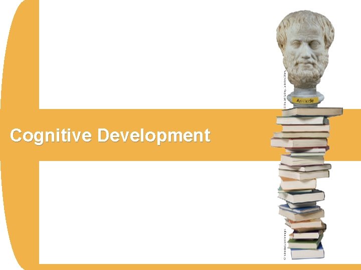 Cognitive Development 