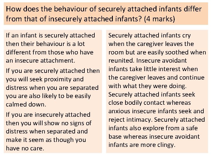 How does the behaviour of securely attached infants differ from that of insecurely attached