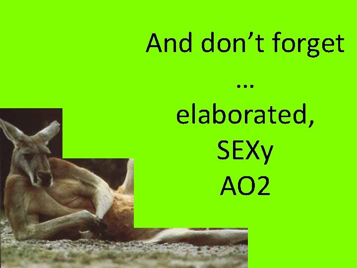 And don’t forget … elaborated, SEXy AO 2 