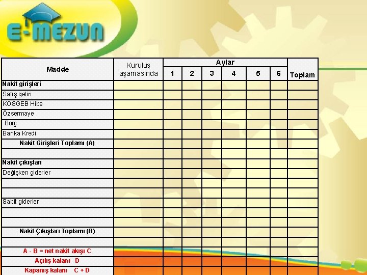 Madde Kuruluş aşamasında Aylar 1 2 3 4 5 6 Toplam Nakit girişleri Satış