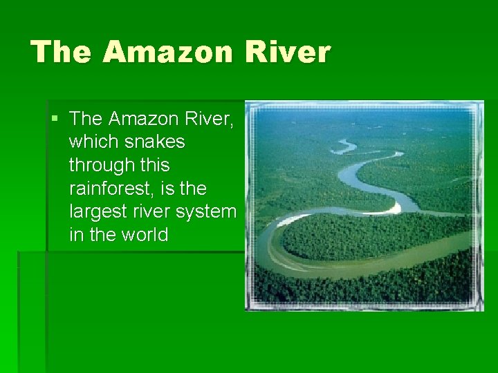 The Amazon River § The Amazon River, which snakes through this rainforest, is the