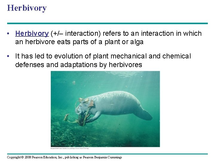 Herbivory • Herbivory (+/– interaction) refers to an interaction in which an herbivore eats