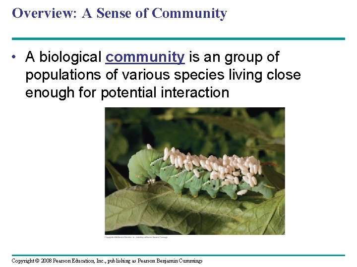 Overview: A Sense of Community • A biological community is an group of populations